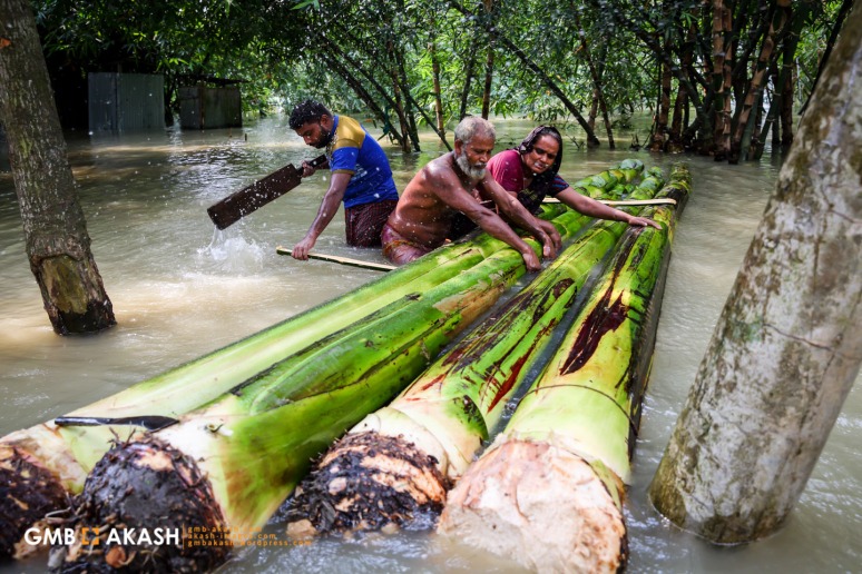 Flood Bangladesh 2019 (66).jpg